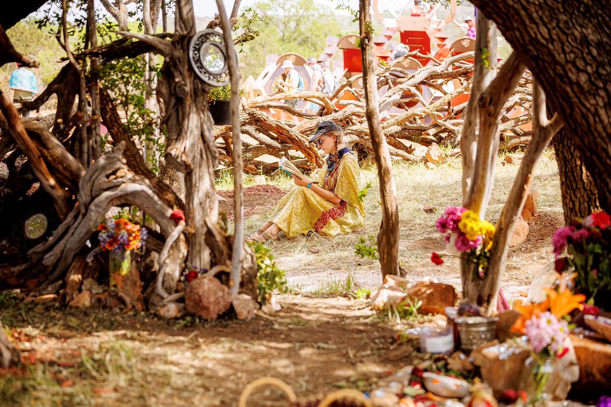 Ten Wonders of Wicked Oaks You Shouldn't Miss